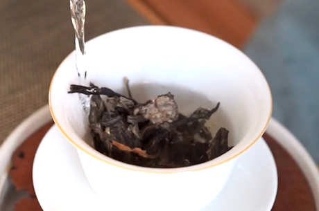 冬天喝什么茶比较好