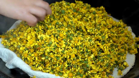 菊花茶的好处