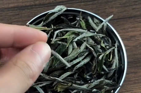 喝什么茶清肺？