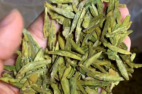 谁适合喝龙井茶？