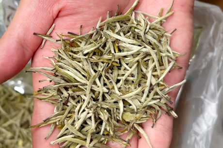 什么样的茶好送礼？