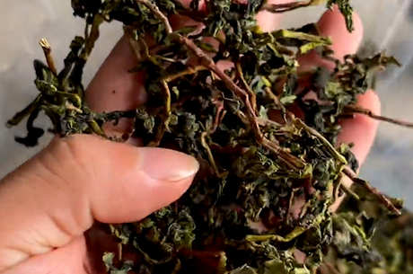 三种茶的礼仪