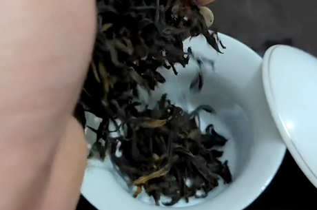 鸭屎香有多少品种？
