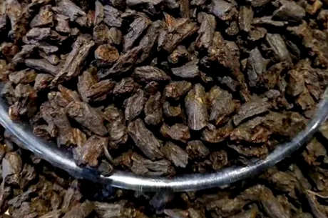 碎银子茶到底好不好