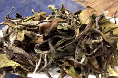 白茶和老白茶有什么区别？