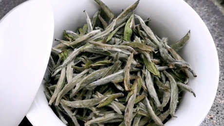 白茶属于红茶吗？