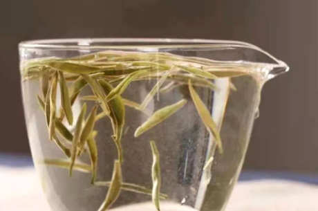 白茶属于红茶吗？
