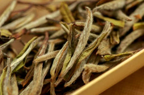 白茶是绿茶还是红茶