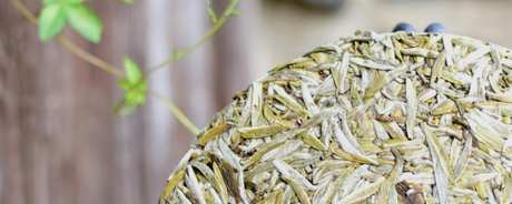 白茶饼和白茶的区别