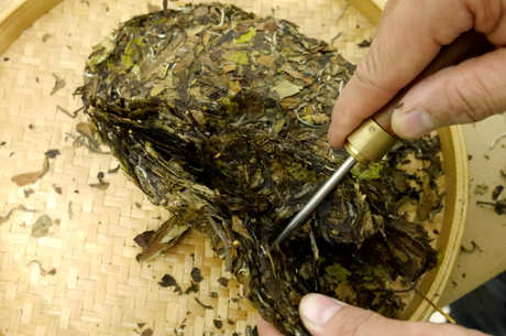 白茶饼和白茶的区别