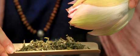荷花茶的功效和禁忌