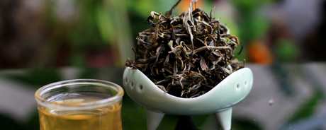 普洱茶的种类