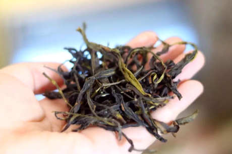 鸭屎香有什么特点？