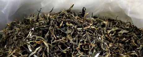 广东茶有哪些？