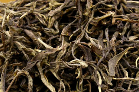 普洱生茶和熟茶哪个贵？