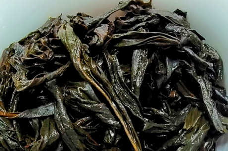 水金龟属于什么茶？