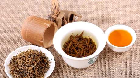 金骏眉是什么茶种？