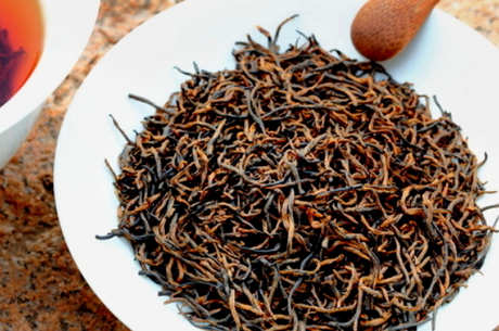 金骏眉是什么茶种？