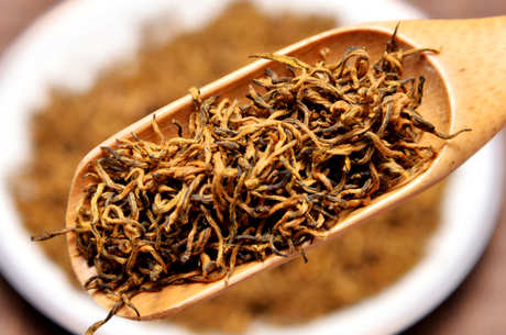 金骏眉是什么茶种？