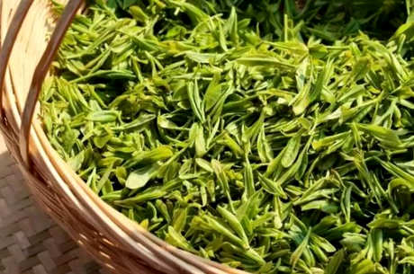 什么茶是白马毛尖？