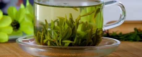 浙江名茶有哪些品种？