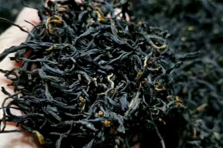 红茶的品种名称是什么？
