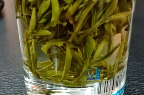 黄山毛尖属于什么茶？