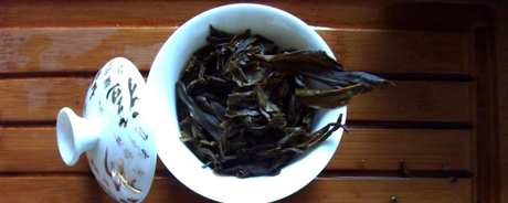 无量山普洱茶属于哪个产区？