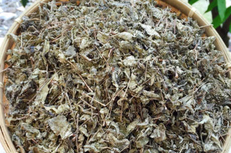 藤茶和莓茶是同种茶吗？