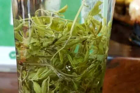 藤茶和莓茶是同种茶吗？