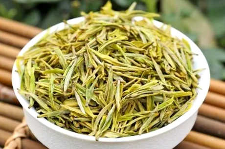金芽茶的产地在哪里？