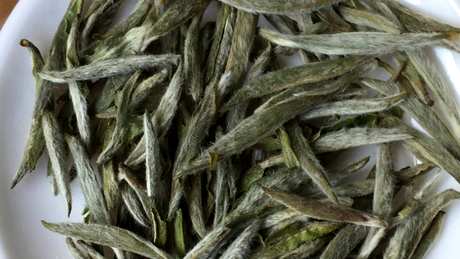银针茶属于什么茶？