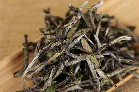 什么茶适合冬天暖胃？
