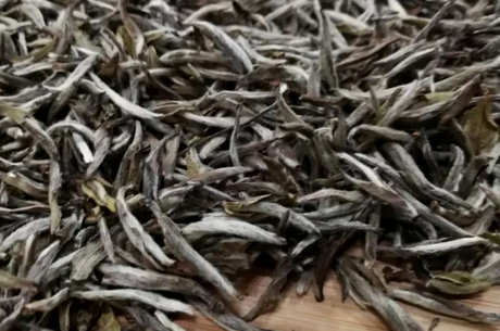 白毫银针的起源