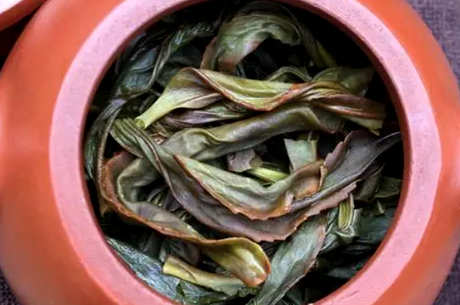 什么时候喝鸭屎香茶？