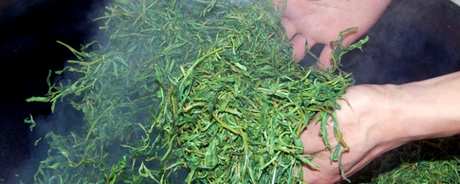 杀茶意味着什么？