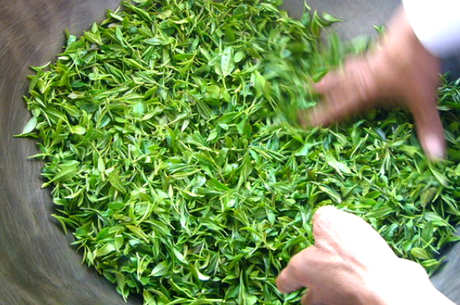 杀茶意味着什么？
