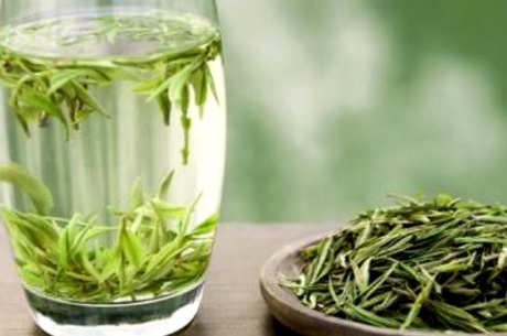安吉白茶怎么样？