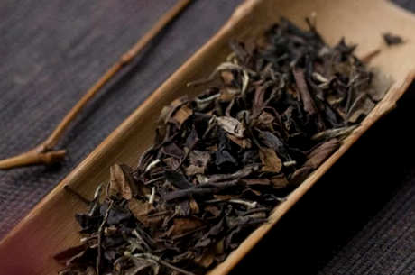 什么茶属于普洱白茶？
