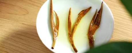 滇红大金针茶冲泡方法
