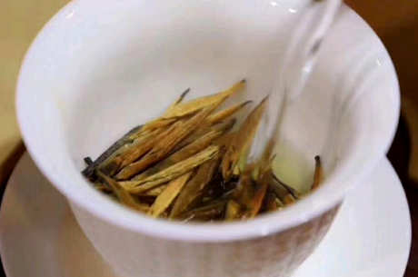 滇红大金针茶冲泡方法