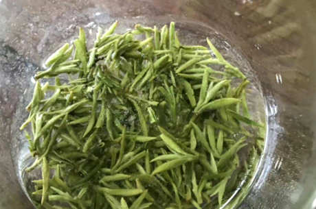 碧螺春的外观