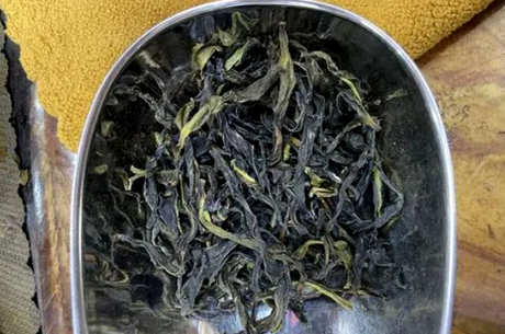 乌东单丛茶是什么茶？