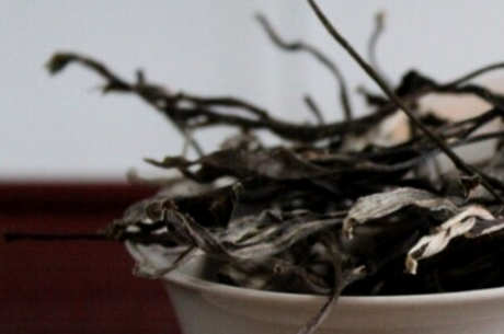 坝糯古树茶的特点