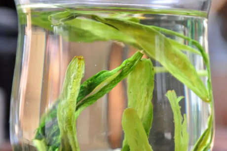 太平猴魁属于什么等级的茶？