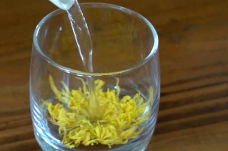 金丝菊的冲泡禁忌