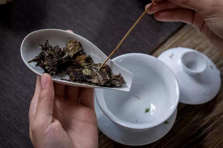 如何冲泡白茶饼？