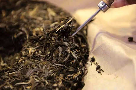 如何冲泡普洱茶饼？