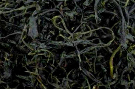 大叶苦丁茶和小叶苦丁茶的区别