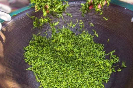 怎么炒茶叶